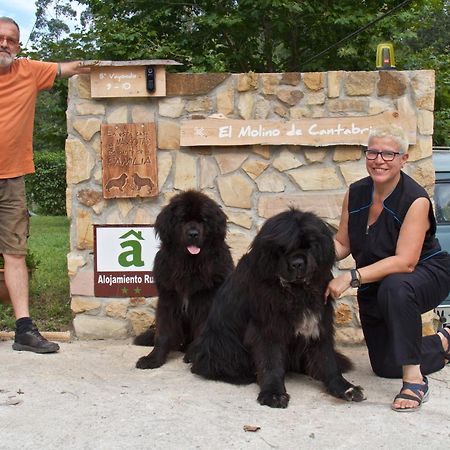 Posada Pet Friendly El Molino De Cantabria Entrambasaguas  Dış mekan fotoğraf