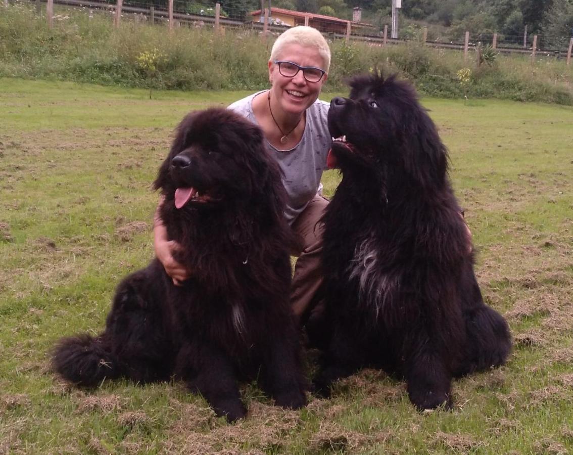 Posada Pet Friendly El Molino De Cantabria Entrambasaguas  Dış mekan fotoğraf