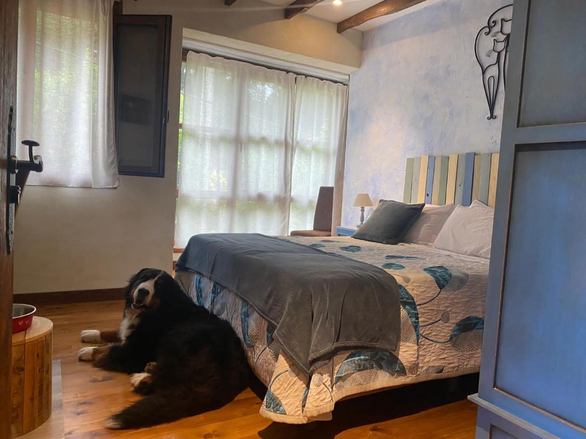 Posada Pet Friendly El Molino De Cantabria Entrambasaguas  Dış mekan fotoğraf
