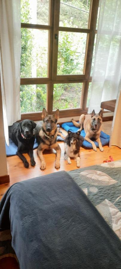 Posada Pet Friendly El Molino De Cantabria Entrambasaguas  Dış mekan fotoğraf