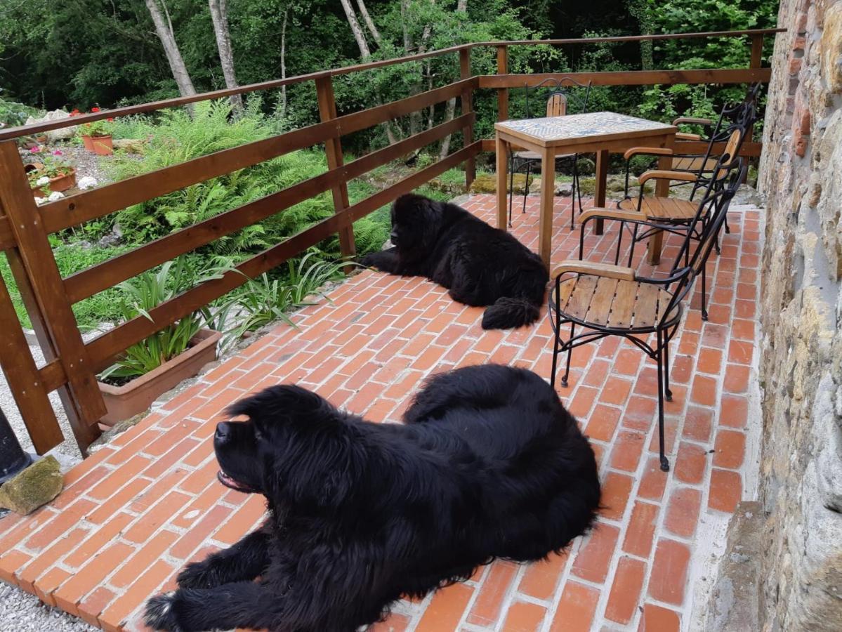 Posada Pet Friendly El Molino De Cantabria Entrambasaguas  Dış mekan fotoğraf