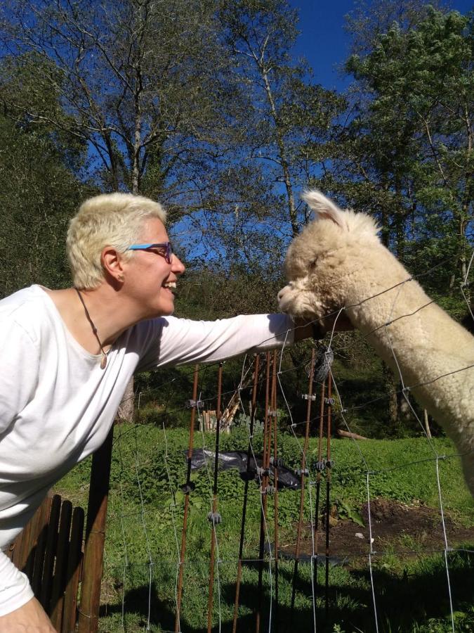 Posada Pet Friendly El Molino De Cantabria Entrambasaguas  Dış mekan fotoğraf