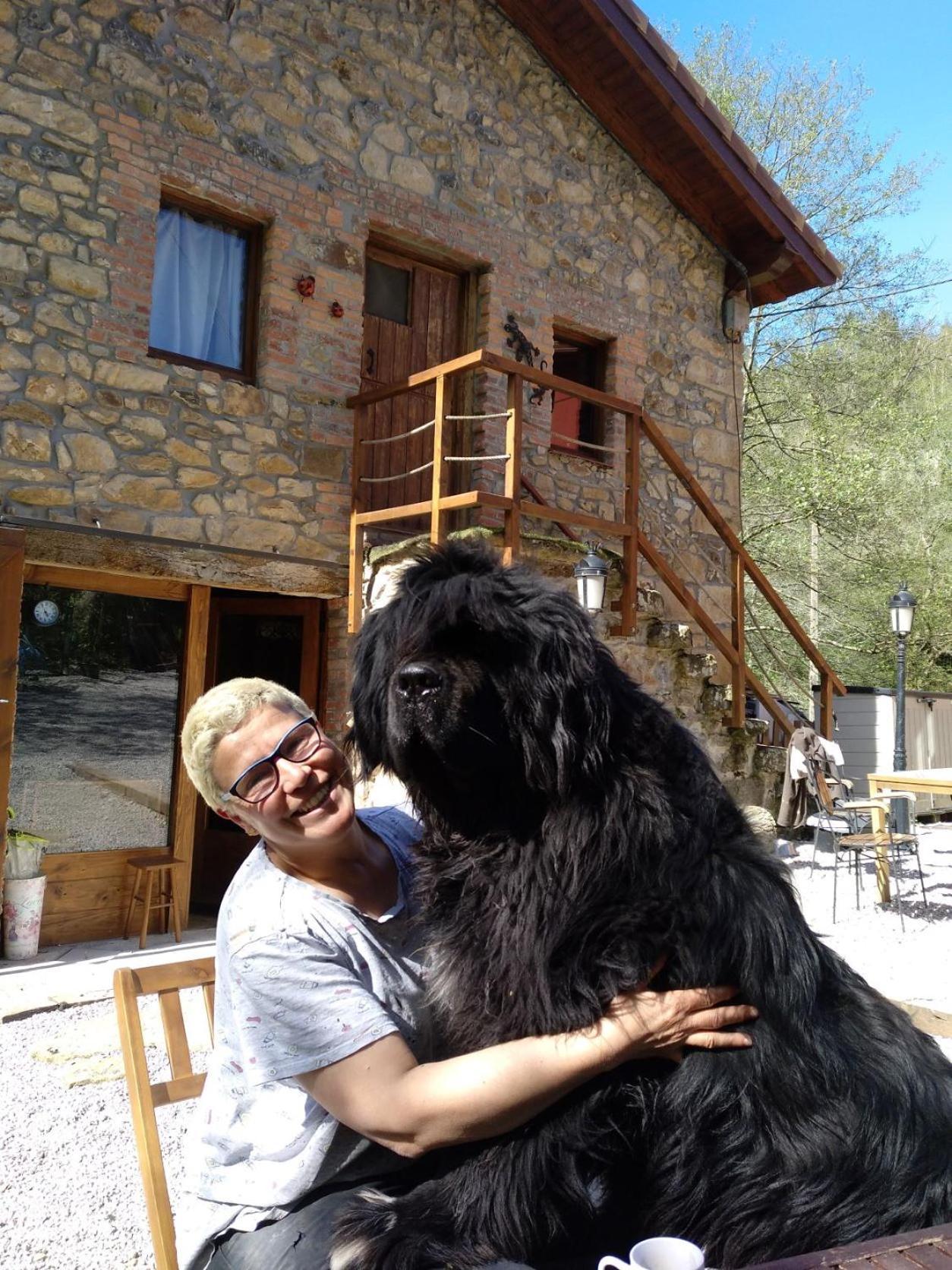 Posada Pet Friendly El Molino De Cantabria Entrambasaguas  Dış mekan fotoğraf