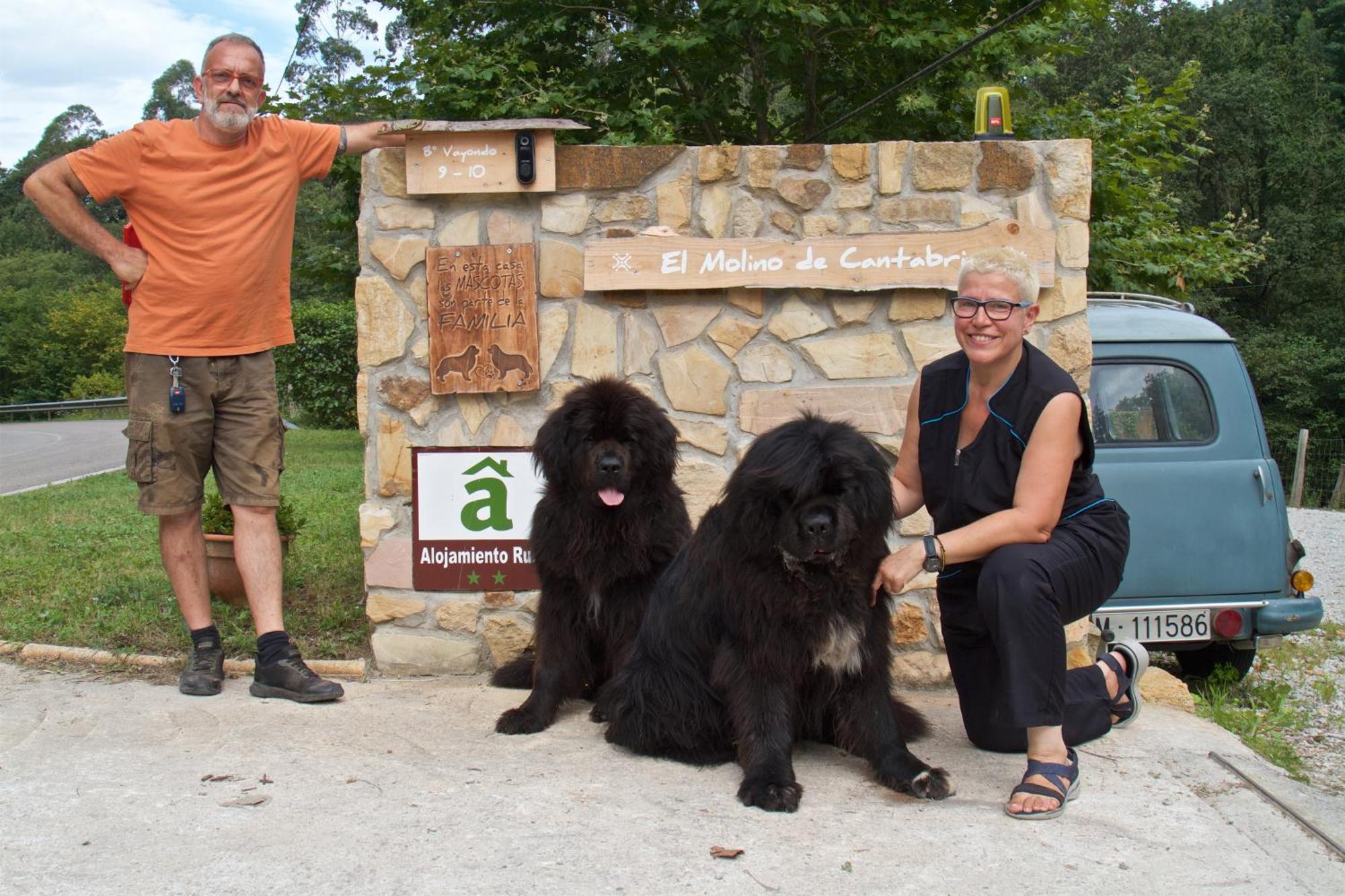 Posada Pet Friendly El Molino De Cantabria Entrambasaguas  Dış mekan fotoğraf