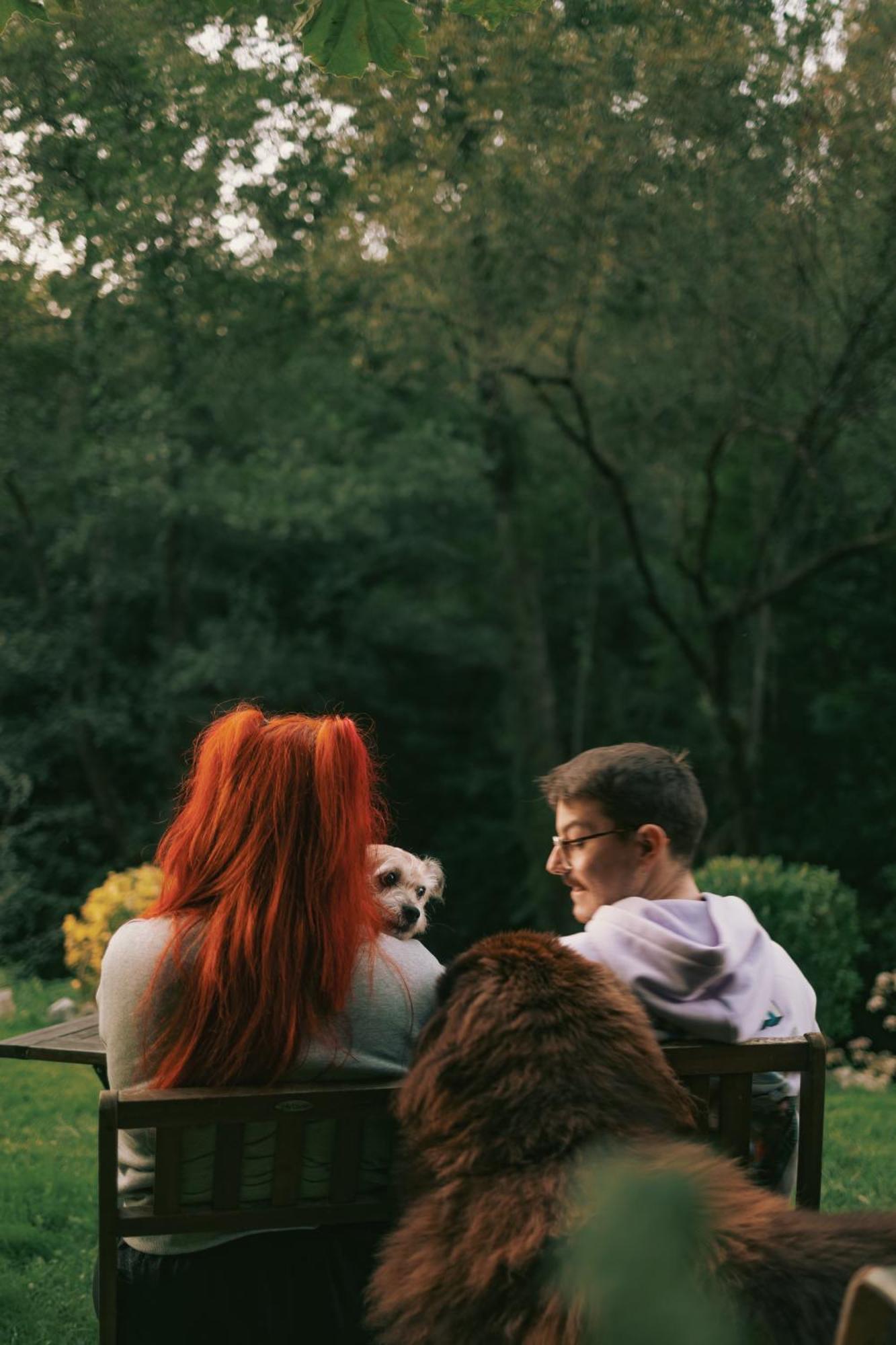 Posada Pet Friendly El Molino De Cantabria Entrambasaguas  Dış mekan fotoğraf